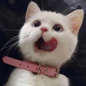 我和亲女疯狂做爰
